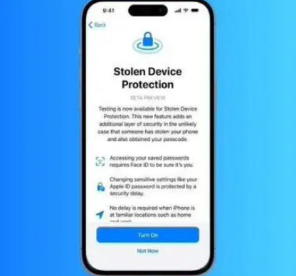 高淳苹果授权维修店分享被盗设备保护功能开启方法 