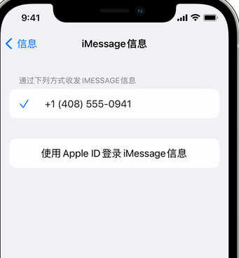 高淳apple维修iPhone上无法正常发送iMessage信息