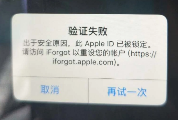 高淳iPhone维修分享iPhone上正常登录或使用AppleID怎么办 