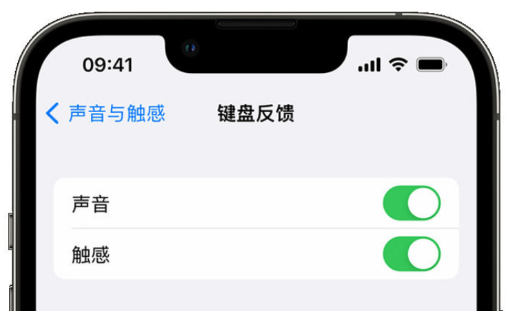 高淳苹果手机维修分享iPhone 14触感键盘使用方法 