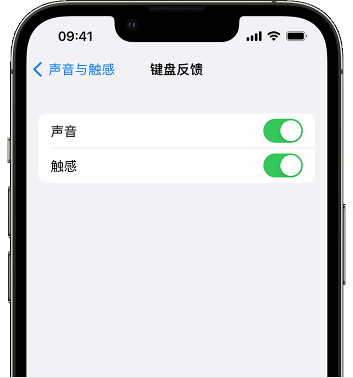 高淳苹果14维修店分享如何在 iPhone 14 机型中使用触感键盘 