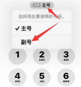 高淳苹果14维修店分享iPhone 14 Pro Max使用副卡打电话的方法 