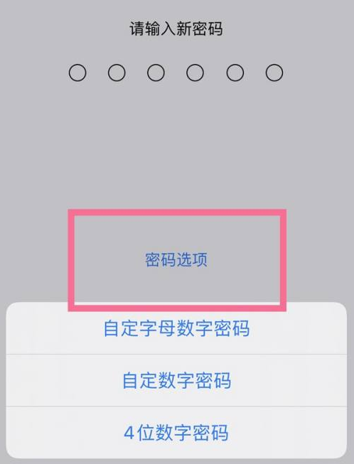 高淳苹果14维修分享iPhone 14plus设置密码的方法 