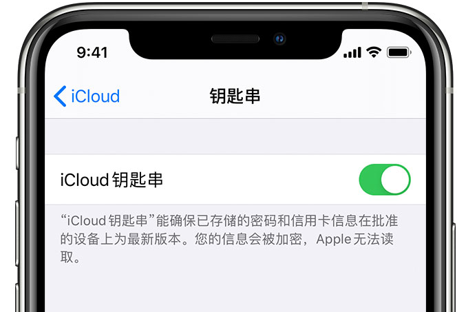 高淳苹果手机维修分享在 iPhone 上开启 iCloud 钥匙串之后会储存哪些信息 