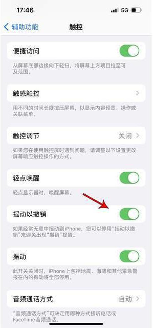 高淳苹果手机维修分享iPhone手机如何设置摇一摇删除文字 